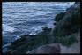 Coogee Cliff 2