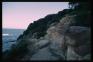 Coogee Cliff 3