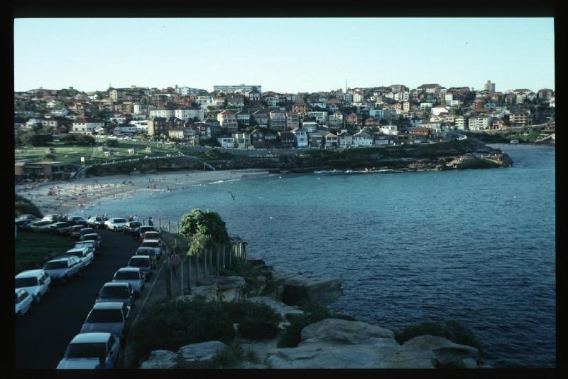 Bronte Looking North