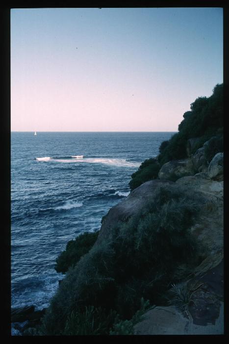 Coogee Cliff 1