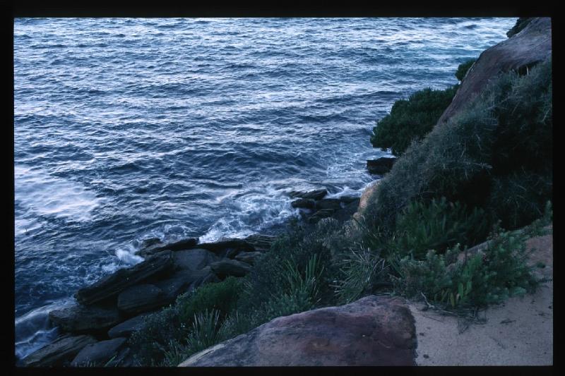 Coogee Cliff 2