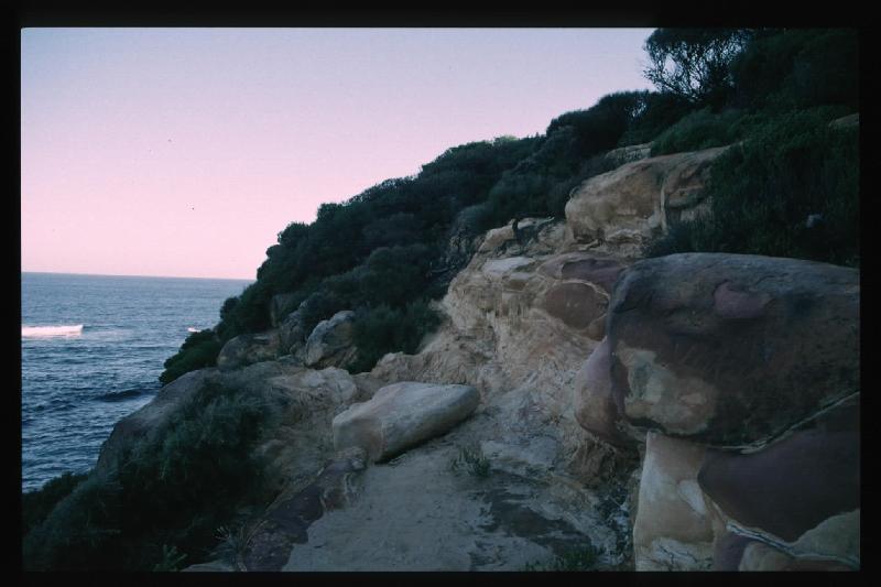 Coogee Cliff 3