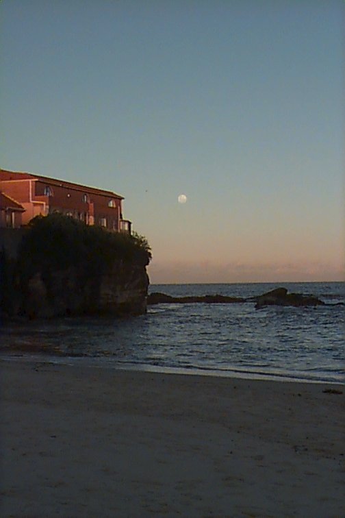 Coogee Moonrise 1