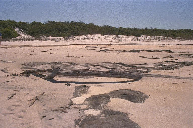 Fraser 1