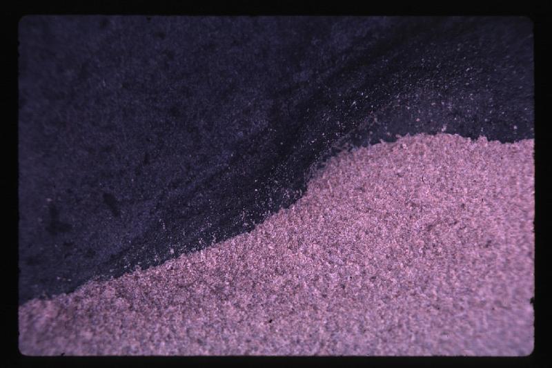 Grains