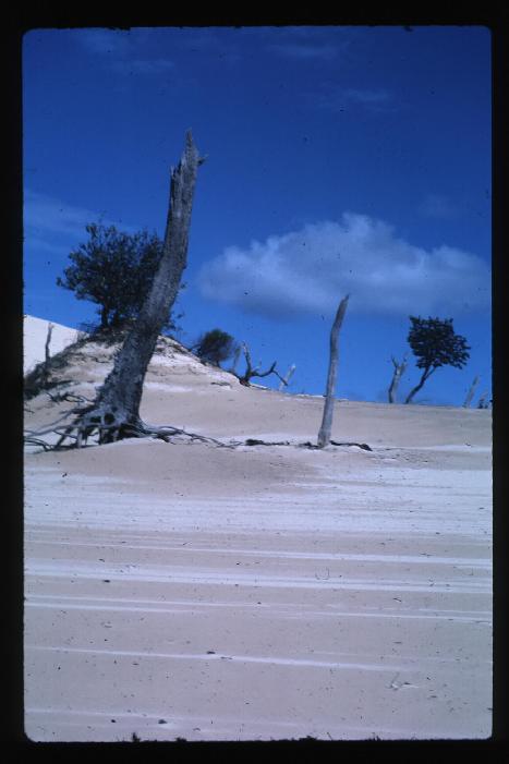 Knife Blade Sandblow 3