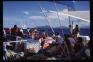 Sailing