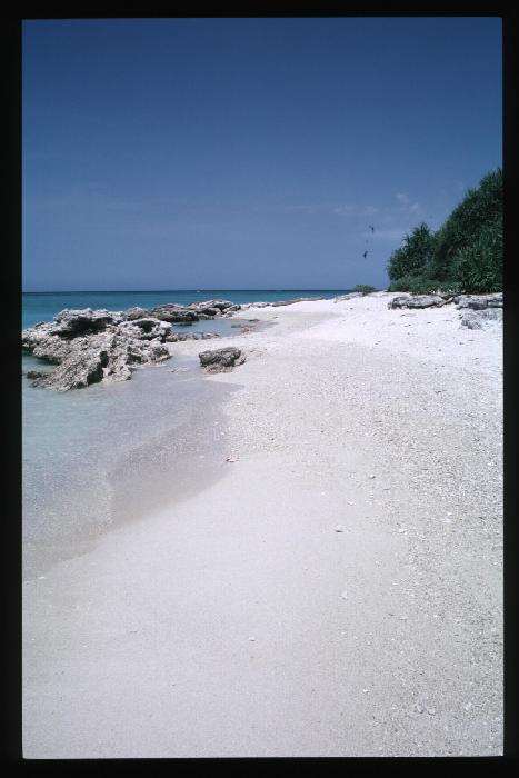 Island Beach