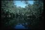 Noosa River Mirror