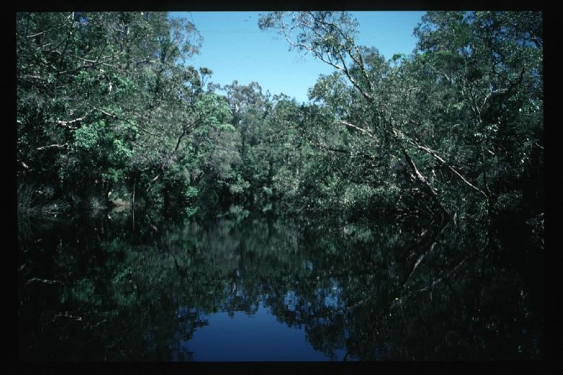 Noosa River Mirror
