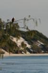 CRW_0417_RJ.jpg