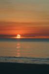 CRW_0429_RJ.jpg